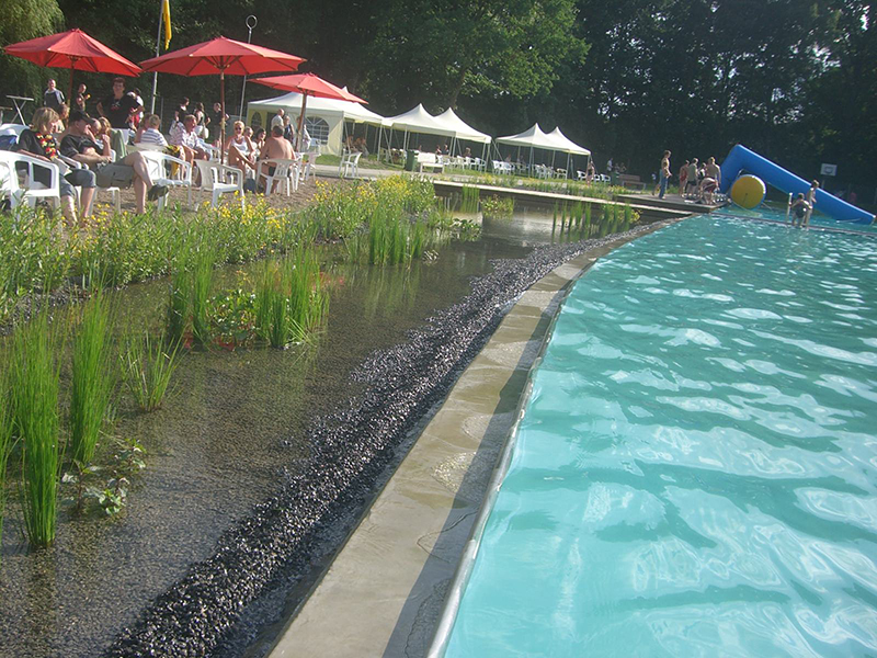 Friluftsbadet i tyske Zeven. Filter med vandplanter er en del af svømmeoplevelsen.